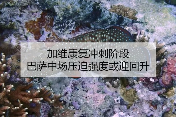 加维康复冲刺阶段 巴萨中场压迫强度或迎回升